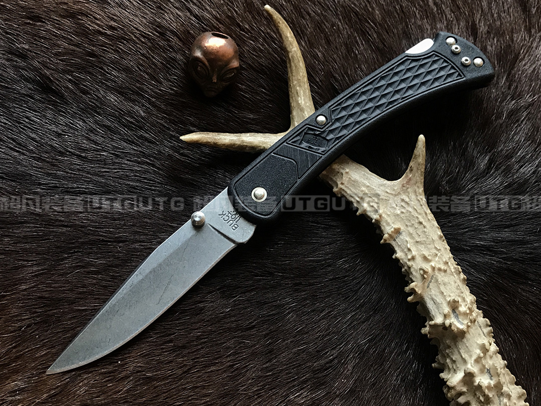 ͺţBuckͿ Folding Hunter Slim 0110BKS1-B 